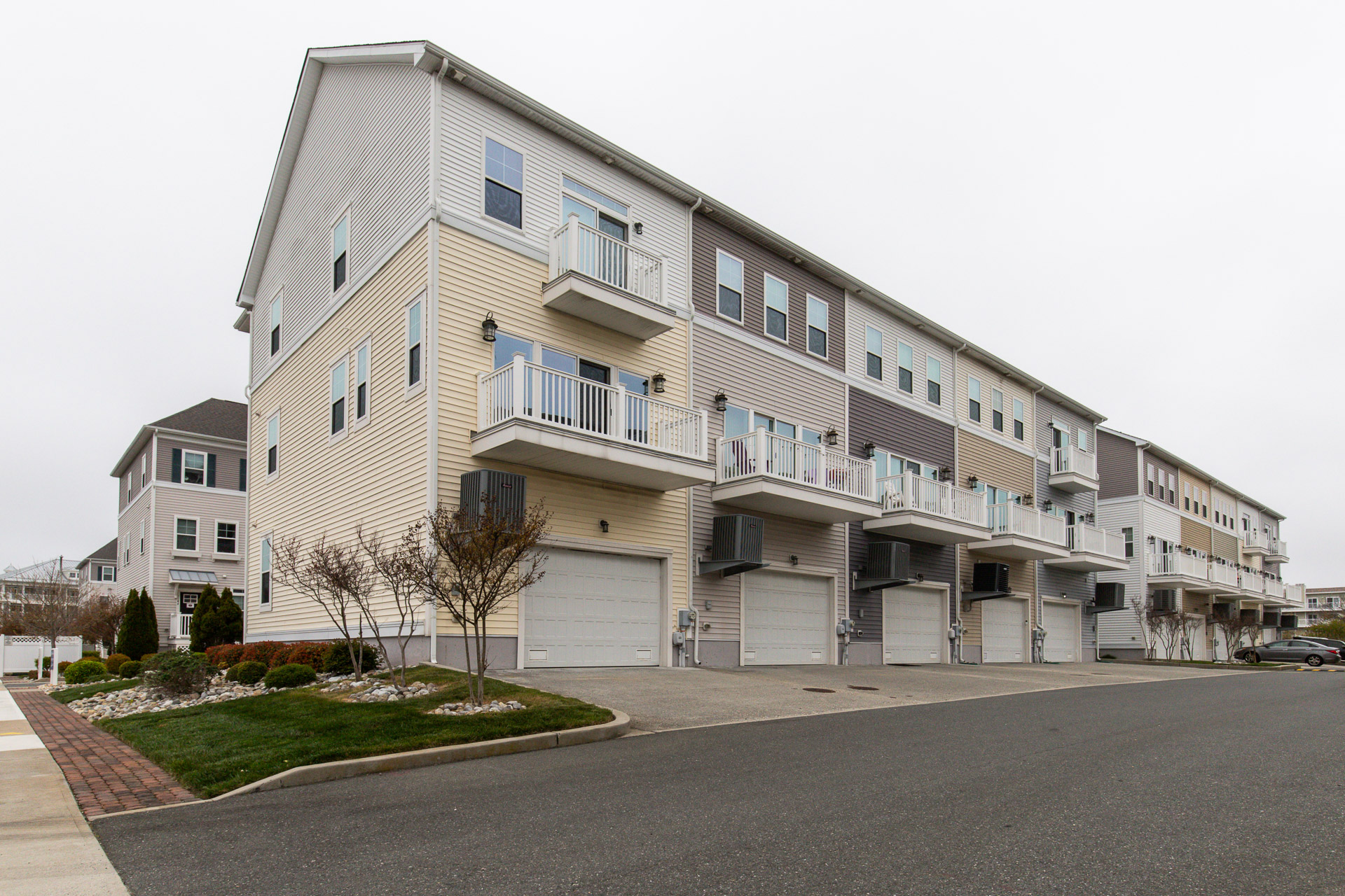 Professional Editing Services